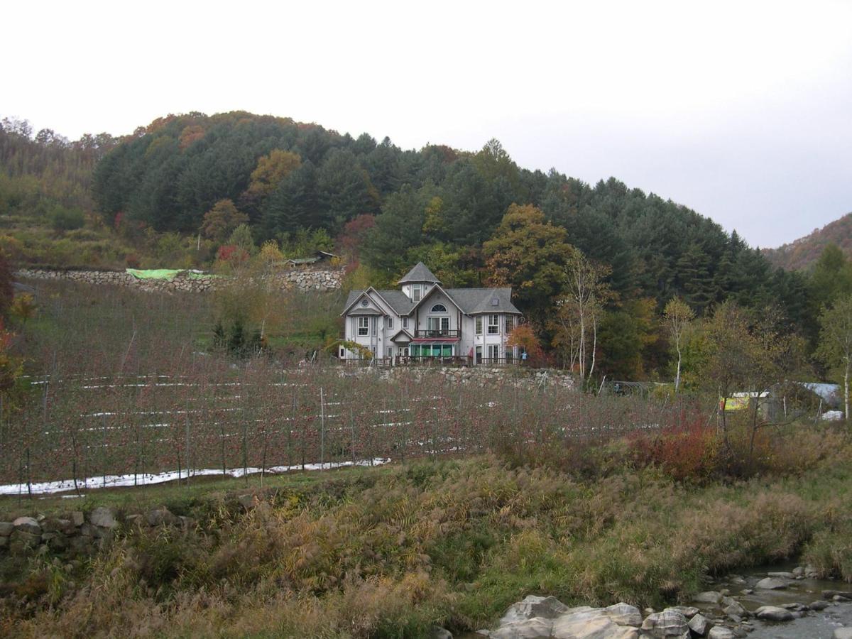 Happy Dream Pension Pyeongchang Bagian luar foto
