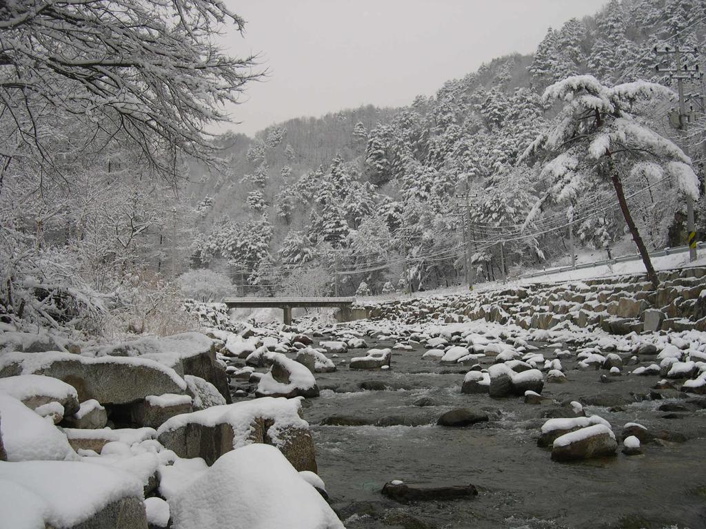 Happy Dream Pension Pyeongchang Bagian luar foto